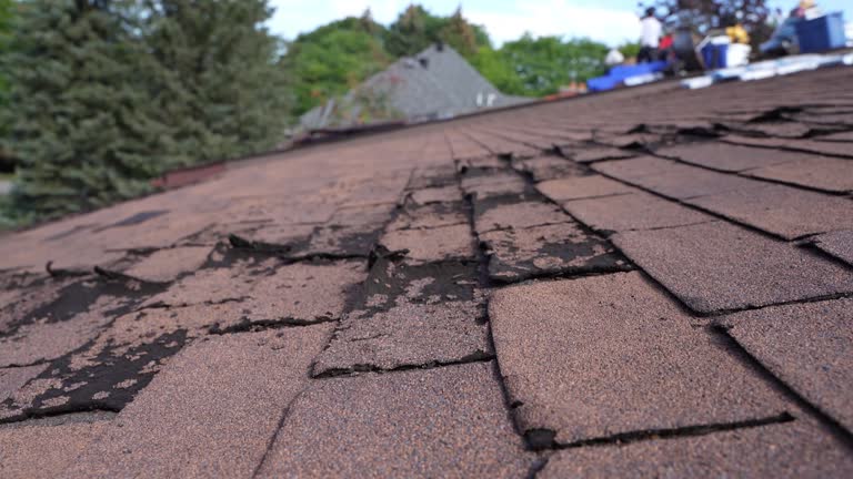 Best Solar Panel Roofing Installation  in Harrisburg, IL