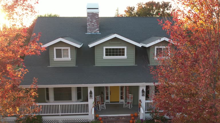 Best Roof Moss and Algae Removal  in Harrisburg, IL