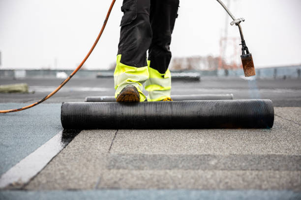 Best Skylight Installation and Repair  in Harrisburg, IL